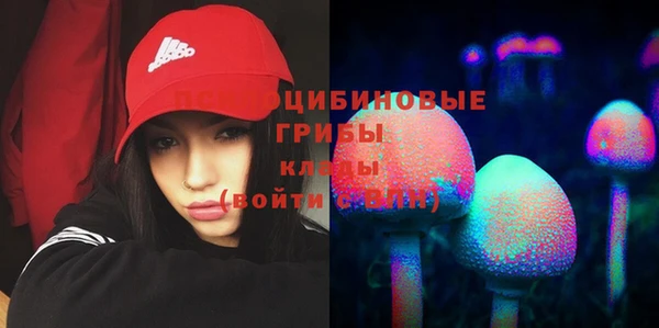 тгк Каменск-Шахтинский
