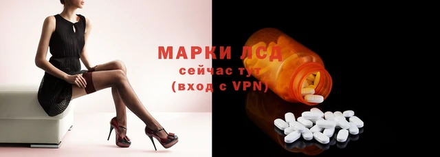 первитин Каменногорск