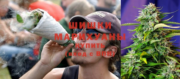 прущие крисы Каменка
