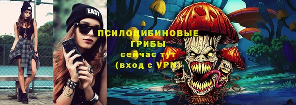 прущие крисы Каменка
