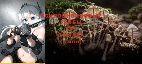 дживик Инта