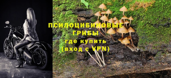 прущая мука Касимов