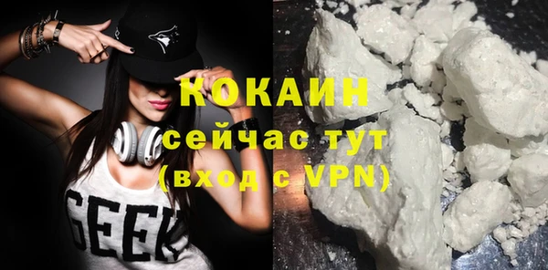 шишки Карталы