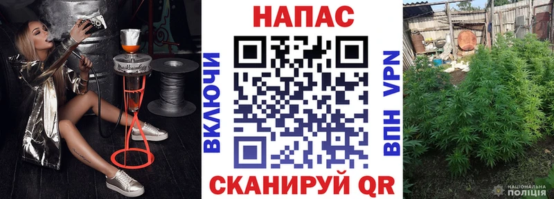 Конопля AK-47 mega маркетплейс Кашин сколько стоит